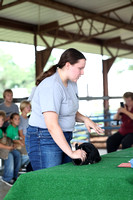 Stanton County Fair Rabbit Show 2023