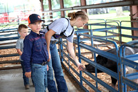 2023 Stanton County Fair Swine Show