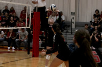 Wolfpack Volleyball